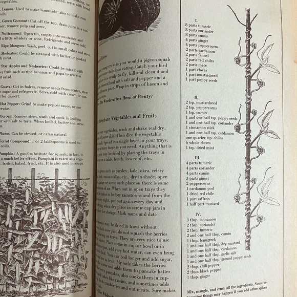 Canadian Whole Earth Almanac Fall 1970 - Picture 9 of 16
